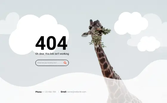 404 Page Pro FFP-PRO-03