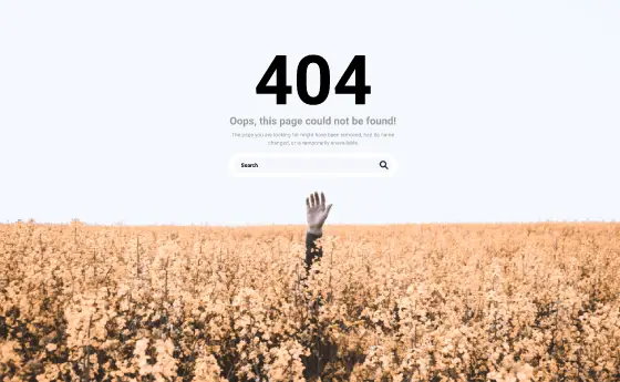 404 Page Pro FFP-PRO-05