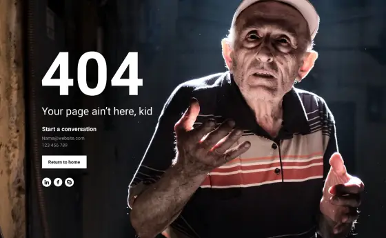 404 Page Pro FFP-PRO-10