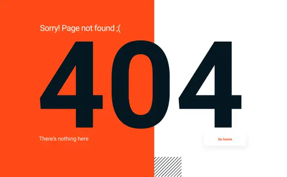 404 Page Pro FFP-PRO-11