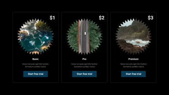 Pricing Table Dark PTD-PRO-02