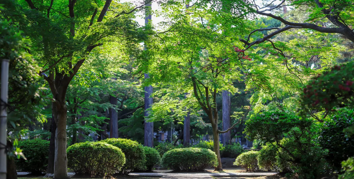 Green business: practical tips for building a sustainable company