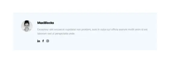 WordPress themes: Author Bio Light ARBL-PRO-16