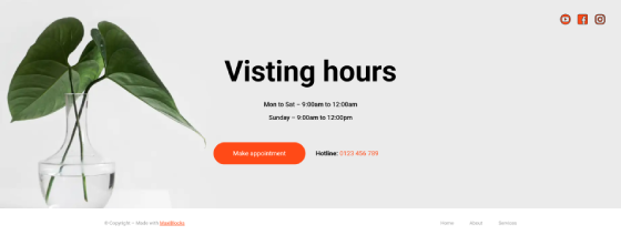 Pure Footer Light PFL-PRO-33